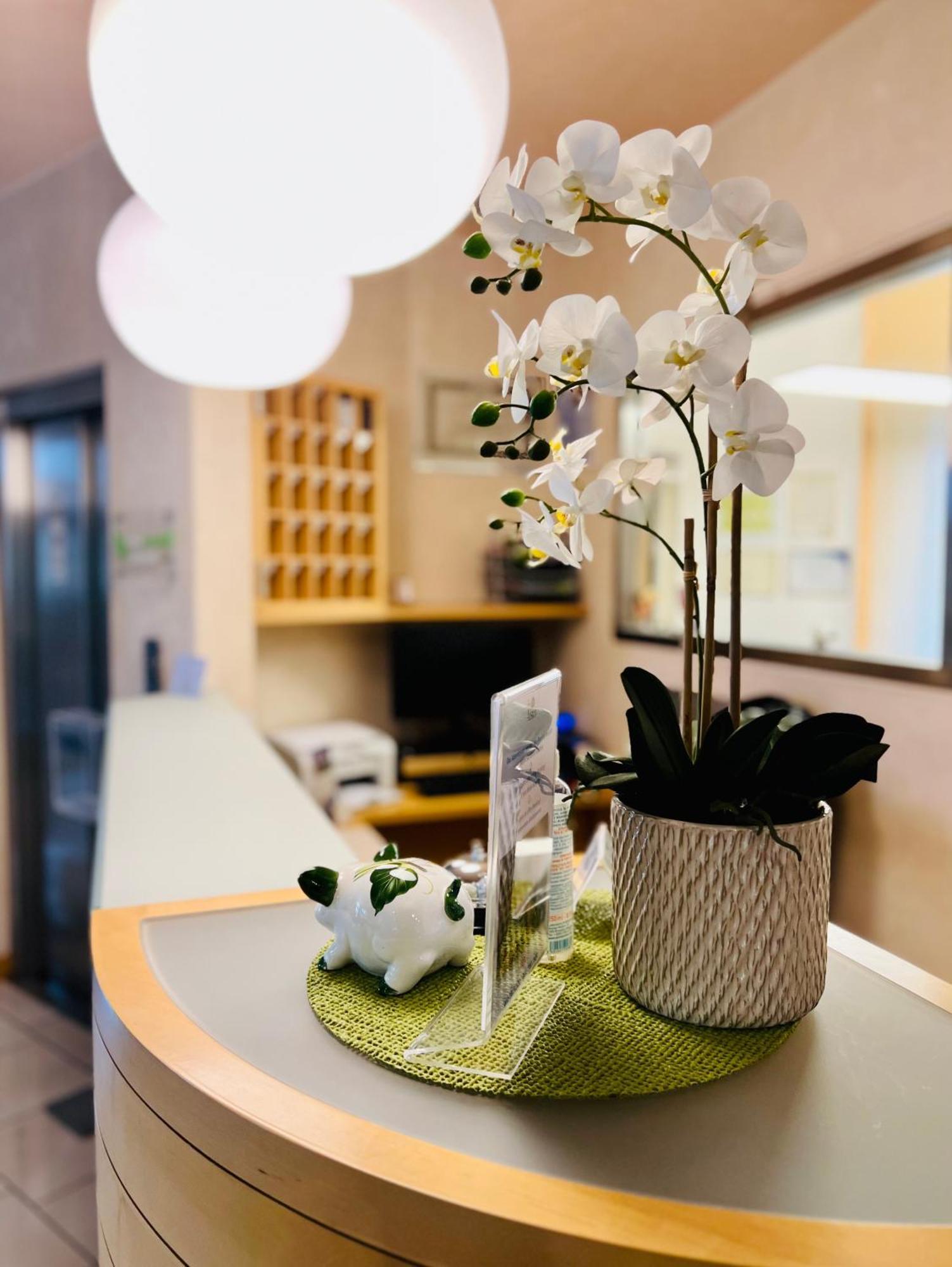 Eco Hotel Ariston Malcesine Kültér fotó